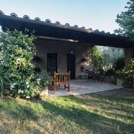 Dimora Borgogni: Country House Pérouse Extérieur photo